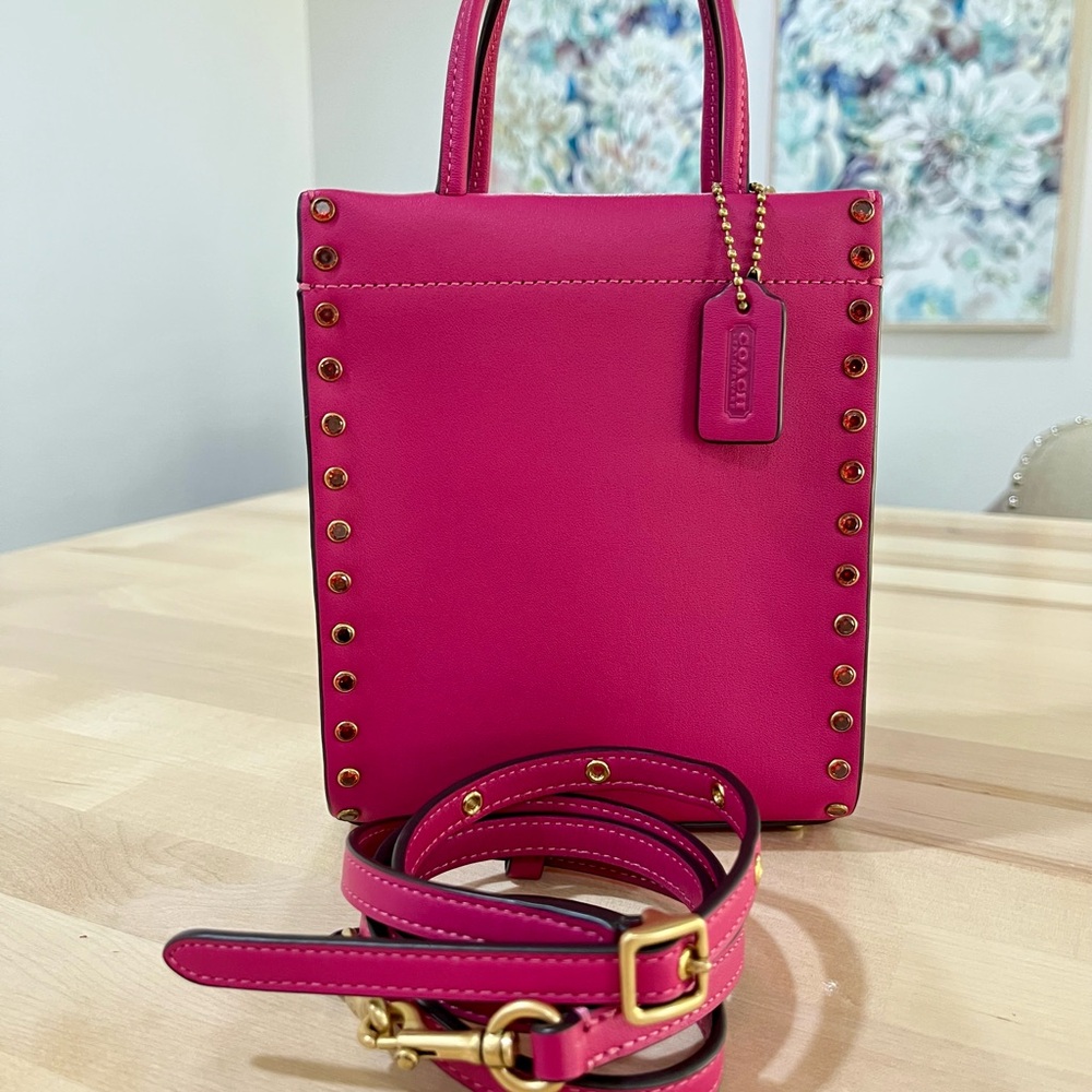 Coach Cashin Mini with Crystal Studs
